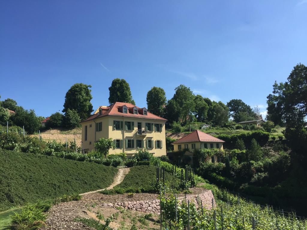 Rebenhaus Meissen Exterior photo