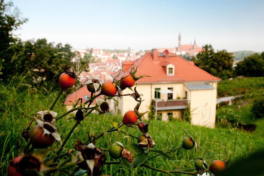 Rebenhaus Meissen Exterior photo